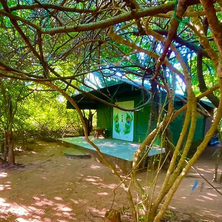 Hotel Yala Podi Hoona Bush Camp Esterno foto