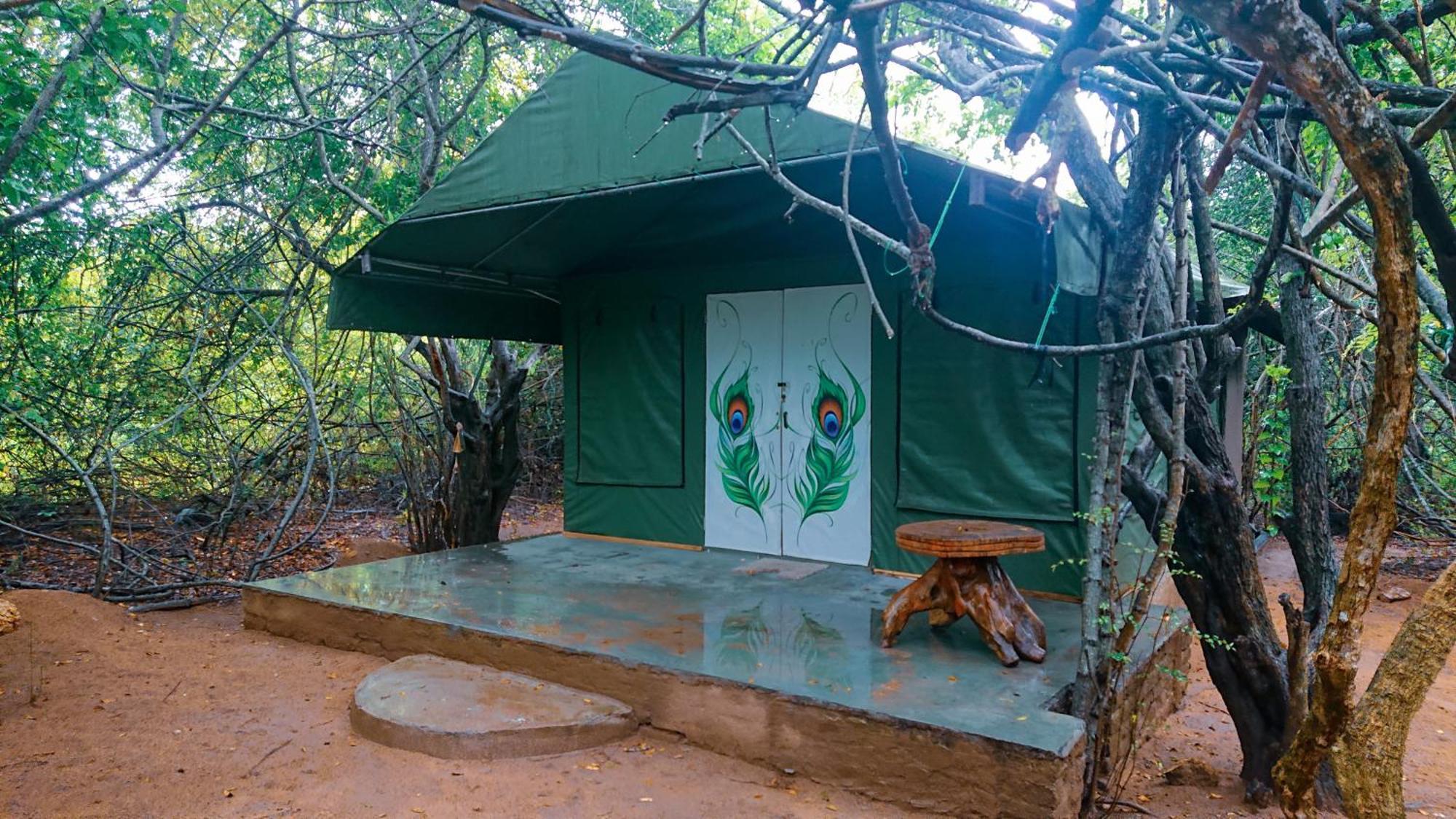 Hotel Yala Podi Hoona Bush Camp Esterno foto