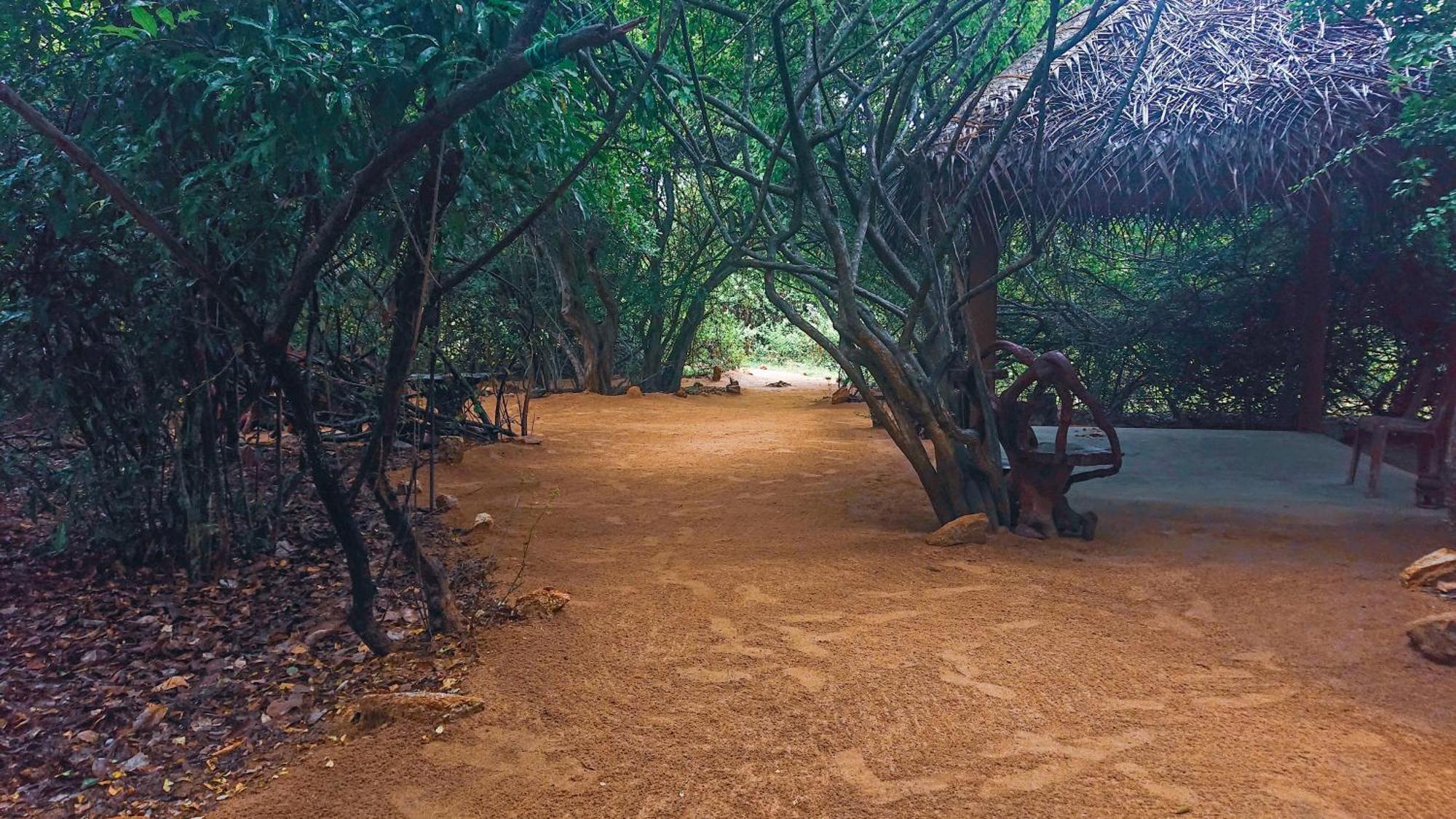 Hotel Yala Podi Hoona Bush Camp Esterno foto