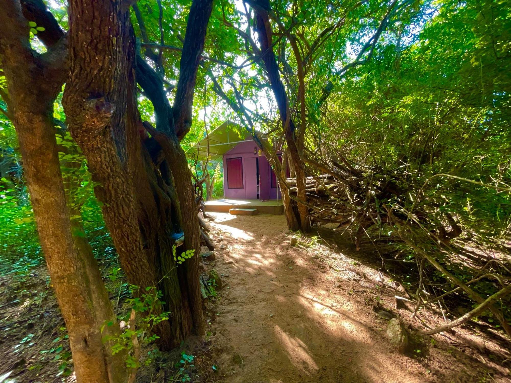 Hotel Yala Podi Hoona Bush Camp Esterno foto