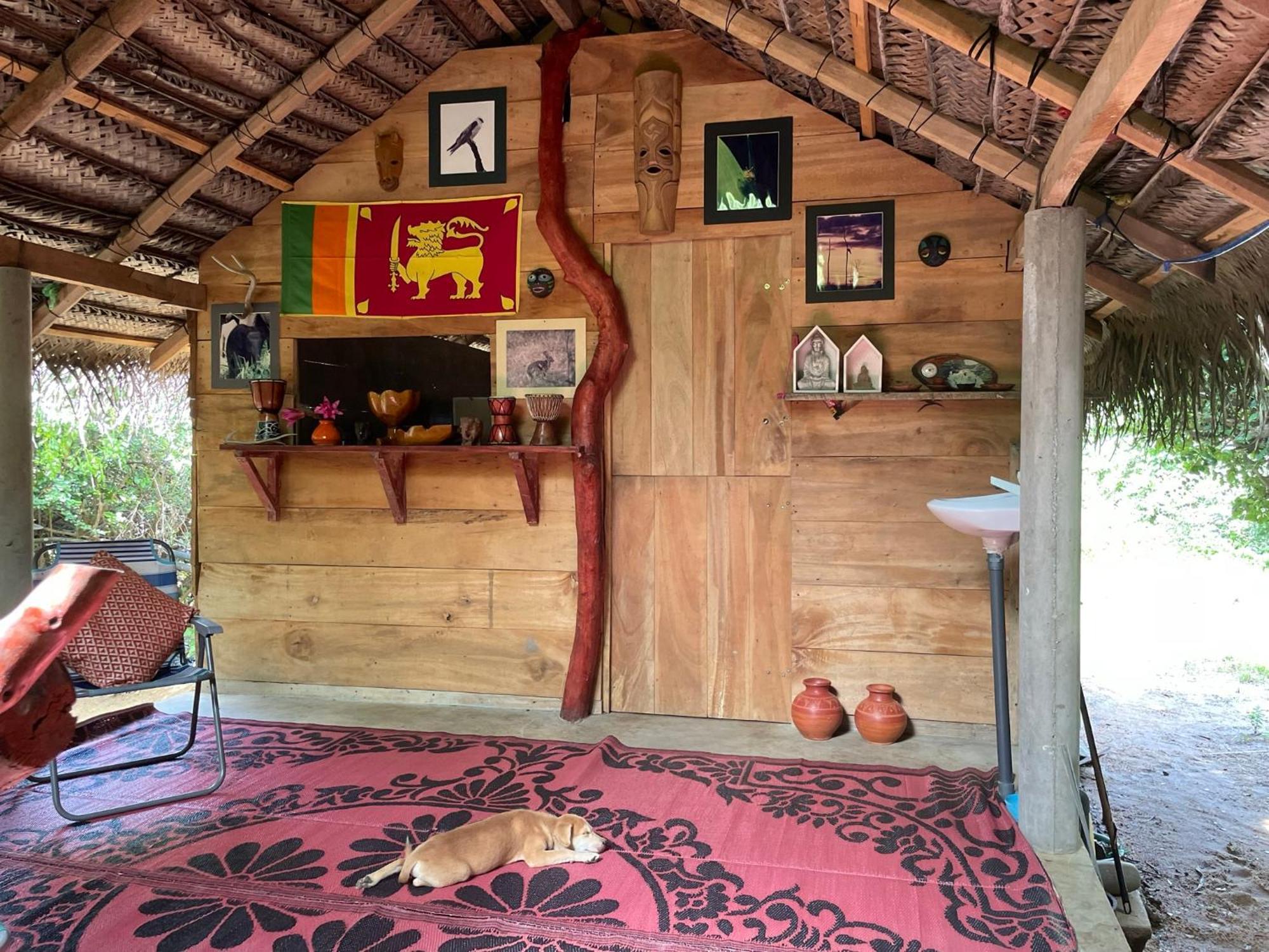 Hotel Yala Podi Hoona Bush Camp Esterno foto